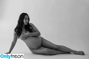 Brie Bella / brie фото голая #0009