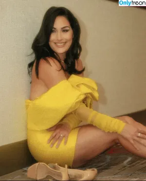 Brie Bella / brie фото голая #0023