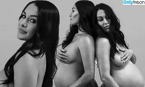 Brie Bella / brie фото голая #0058