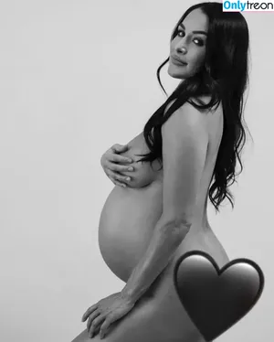 Brie Bella / brie фото голая #0059