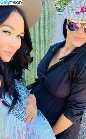 Brie Bella / brie фото голая #0073