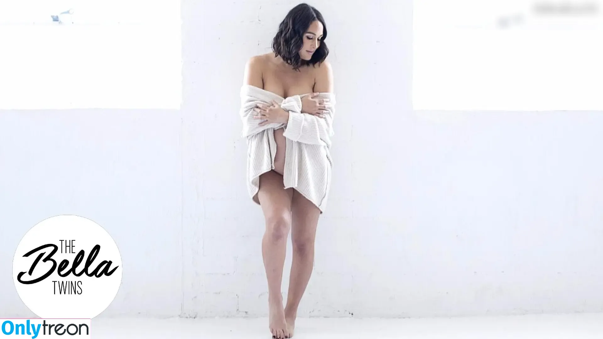 Brie Bella голая photo #0015 (brie)