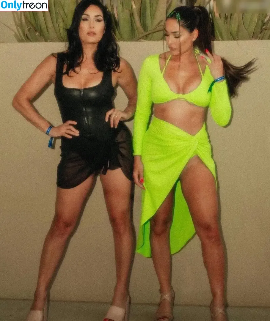 Brie Bella голая photo #0035 (brie)