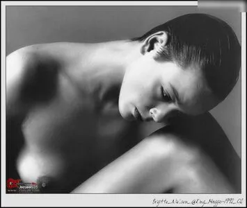 Brigitte Nielsen / brigittenielsen / realbrigittenielsen фото голая #0032