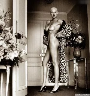 Brigitte Nielsen / brigittenielsen / realbrigittenielsen фото голая #0033