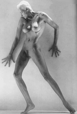 Brigitte Nielsen / brigittenielsen / realbrigittenielsen фото голая #0039
