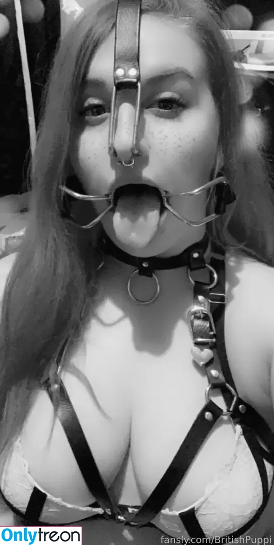 BritishPuppi nude photo #0027 (brittanypuppy)