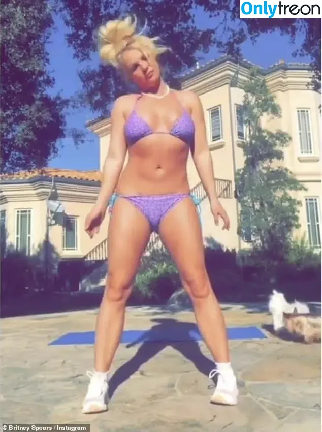 Britney Spears nude photo #3455 (britneyspears / xoxobritneyj)