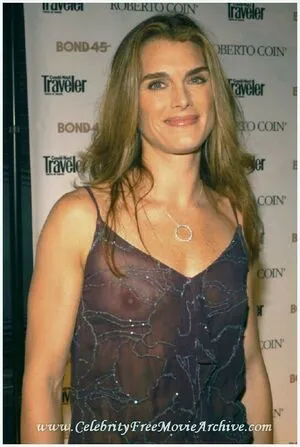 Brooke Shields / brookeshields фото голая #0021