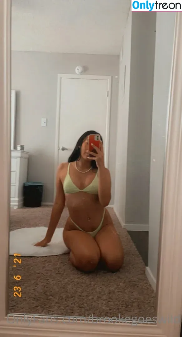 brookegoeswild nude photo #0014 (babyxxxkayla / brookeashwheeler)