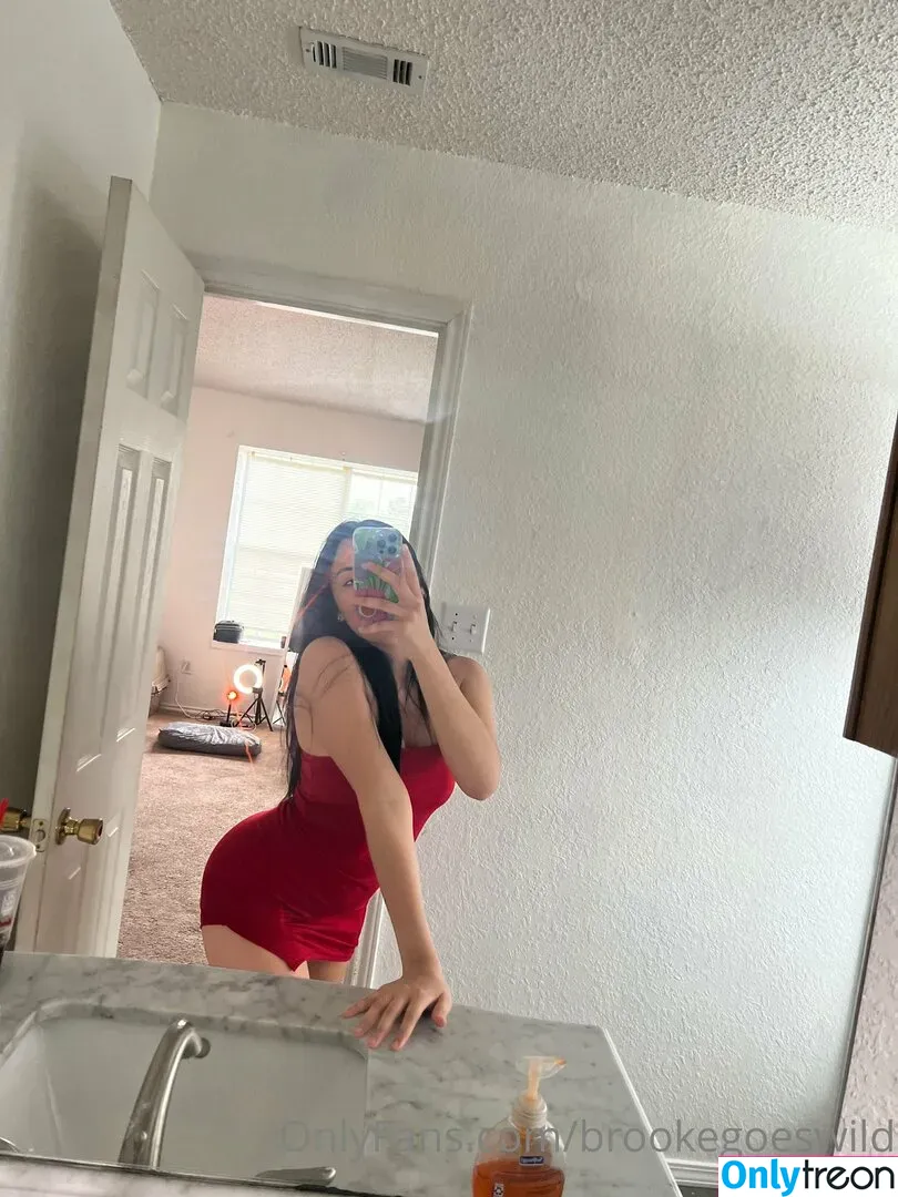 brookegoeswild nude photo #0027 (babyxxxkayla / brookeashwheeler)