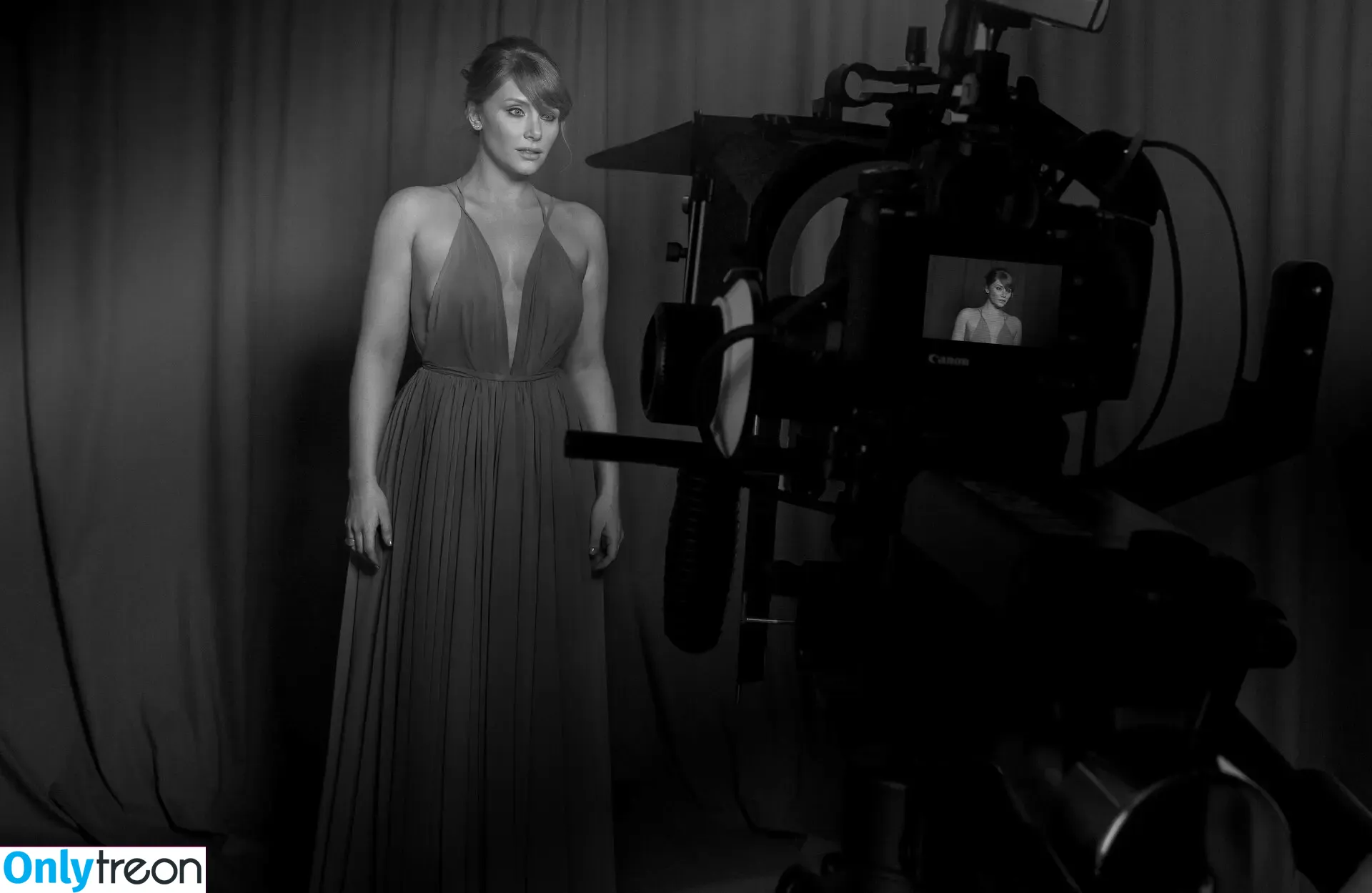 Bryce Dallas Howard голая photo #0965 (brycedhoward)