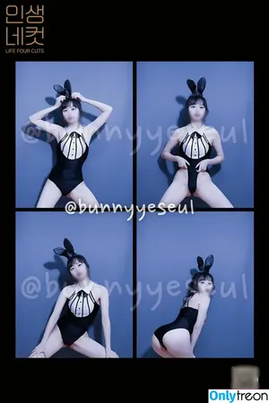 Bunnyyeseul / metabun_ny / 바니예슬 nude photo #0002