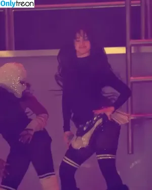 Camila Cabello / Camila_Cabello / iamgabrielaung nude photo #4332