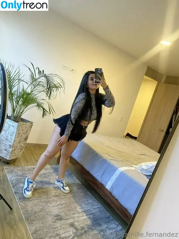 camille.fernandez nude photo #0086 (camillefrz)