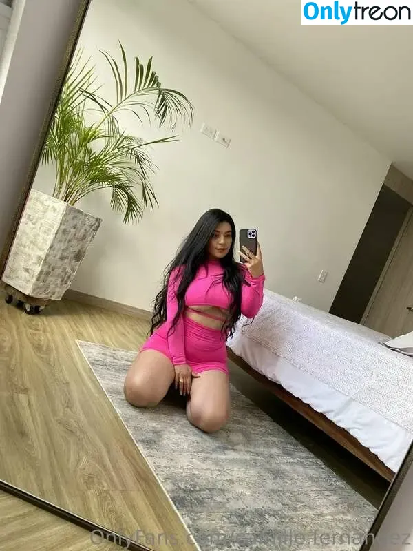 camille.fernandez nude photo #0093 (camillefrz)