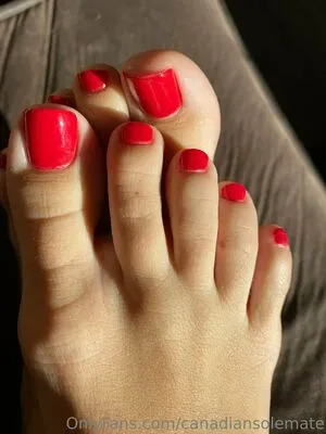 canadiansolemate / lexidoesfeet nude photo #0021