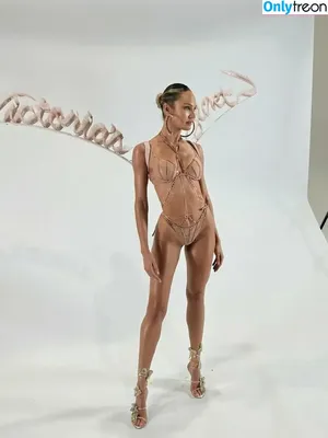 Candice Swanepoel / candiceswanepoel nude photo #0567