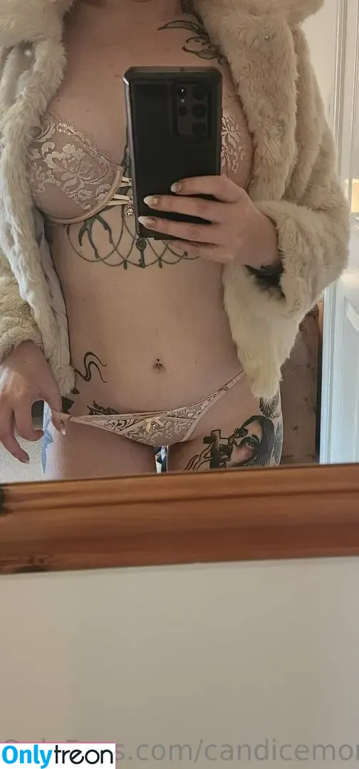 candicemorningstar nude photo #0018 (candice.morningstar)