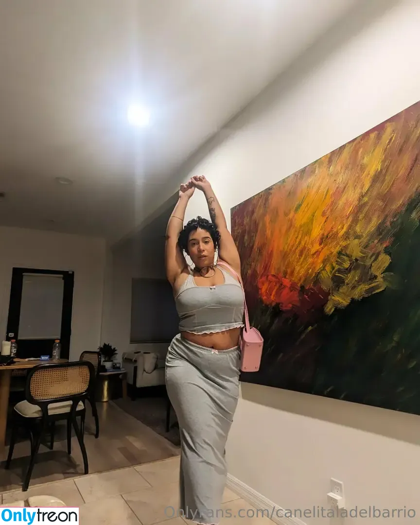 canelitaladelbarrio nude photo #0006 (canelitaladelbarrio)