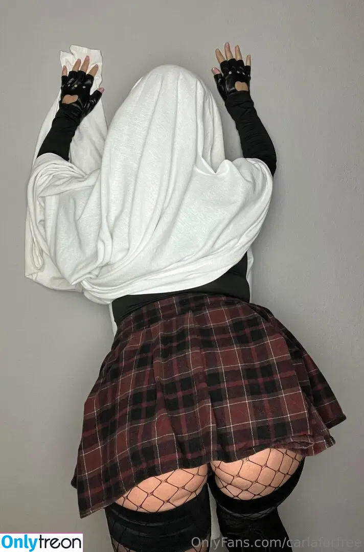 carlaforfree nude photo #0028 (carlaharvey)