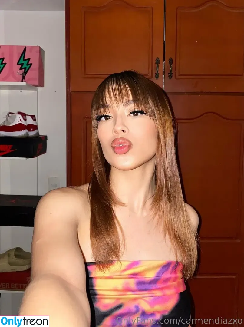 carmendiazxo голая photo #0070 (iam_carmenxoxo)