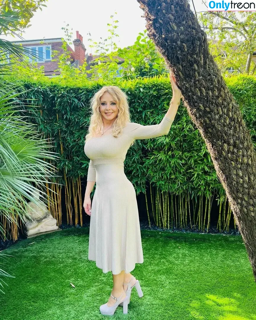 Carol Vorderman nude photo #1196 (carolvorders)