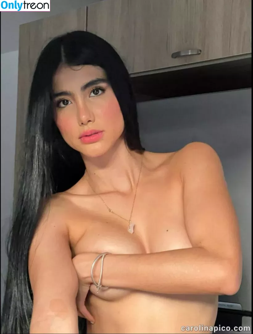 Carolina Pico Rios nude photo #0029 (carolinapicorios)