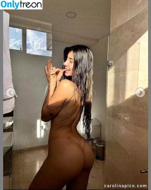 Carolina Pico Rios nude photo #0042 (carolinapicorios)