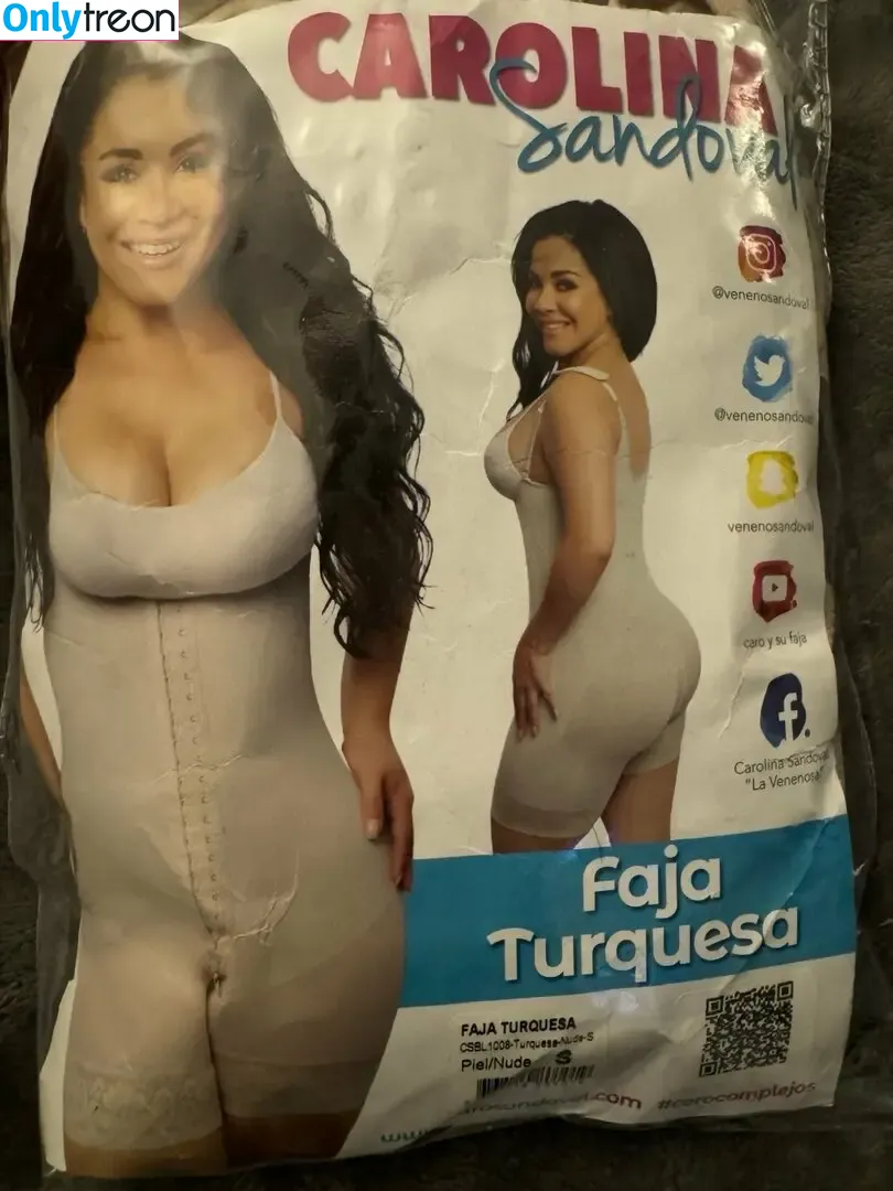 Carolina Sandoval nude photo #0026 (venenosandoval)