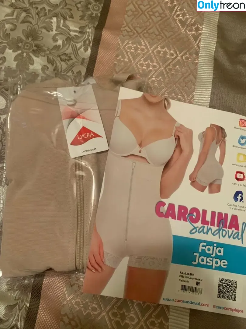 Carolina Sandoval nude photo #0031 (venenosandoval)