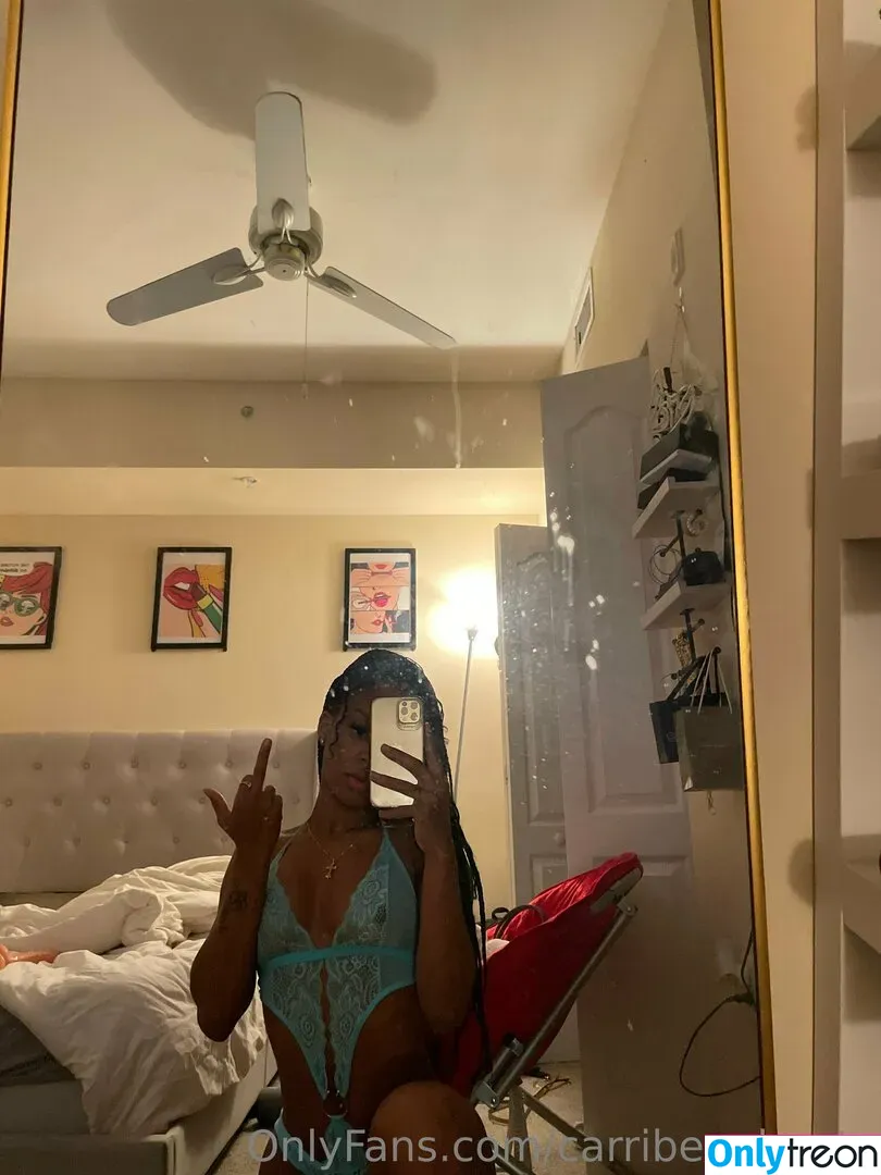 carribeanbooty голая photo #0018 (carribeanbooty)