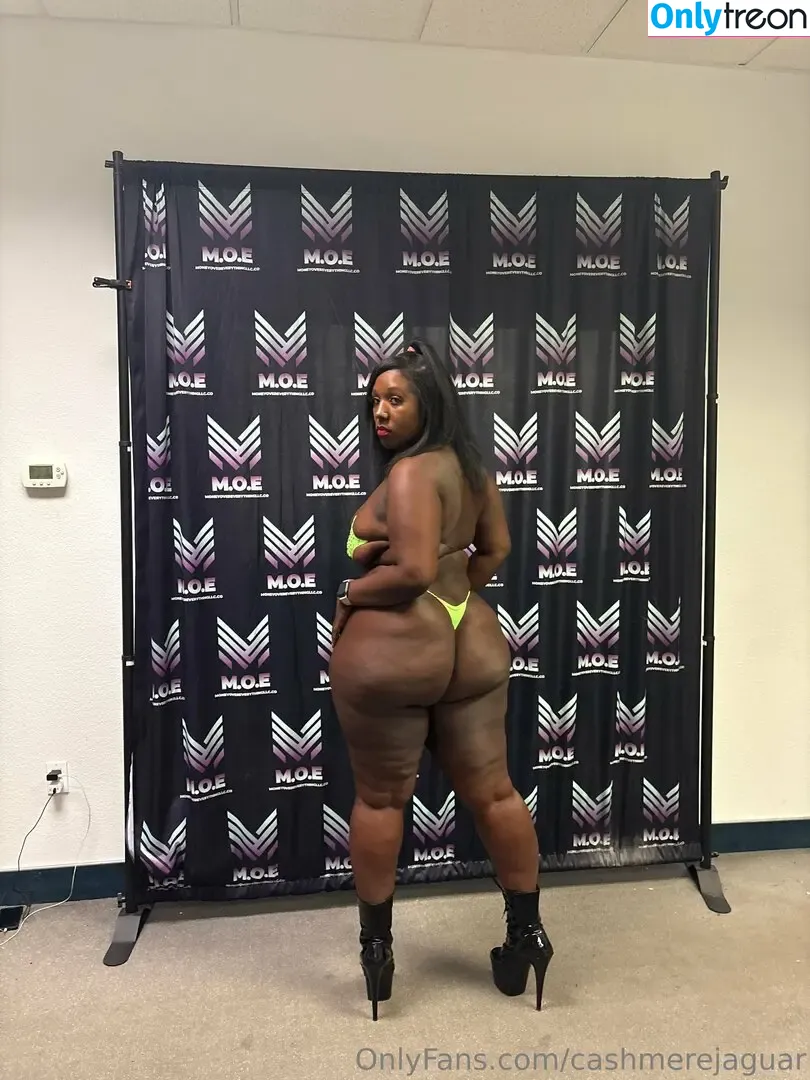 cashmerejaguar nude photo #0040 (cashmerejaguar)