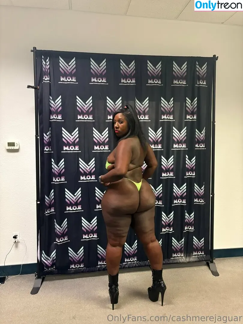 cashmerejaguar nude photo #0041 (cashmerejaguar)