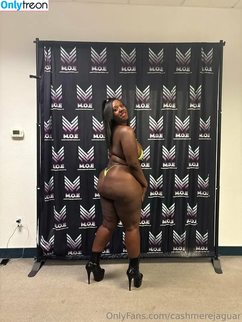 cashmerejaguar nude photo #0047 (cashmerejaguar)