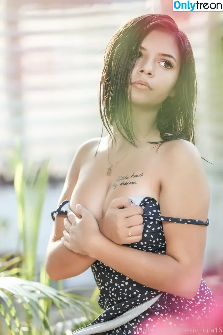 Cassie Luna nude photo #0037 (cassie_luna16 / cassieluna16)