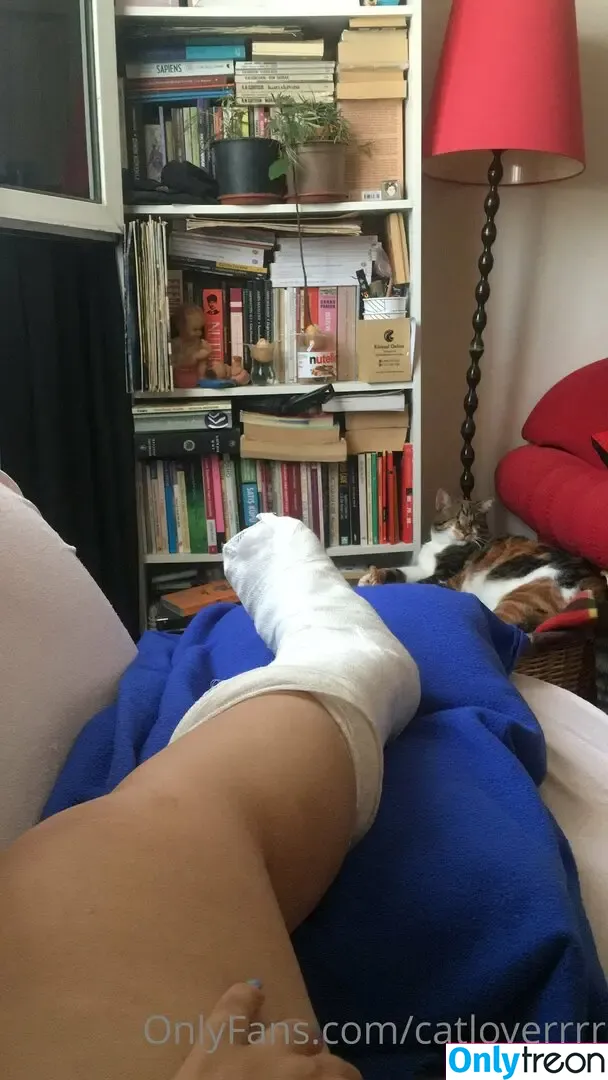 catloverrrr голая photo #0038 (rachelamandabryant)