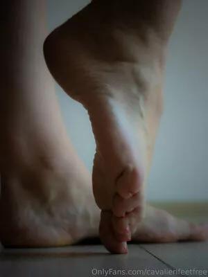 cavalierifeetfree / funwifelife фото голая #0239
