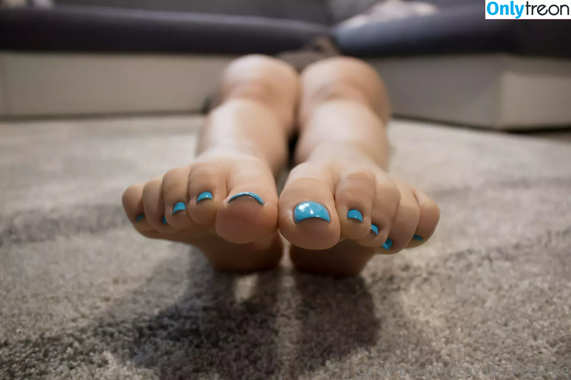 cavalierifeetfree голая photo #0003 (funwifelife)
