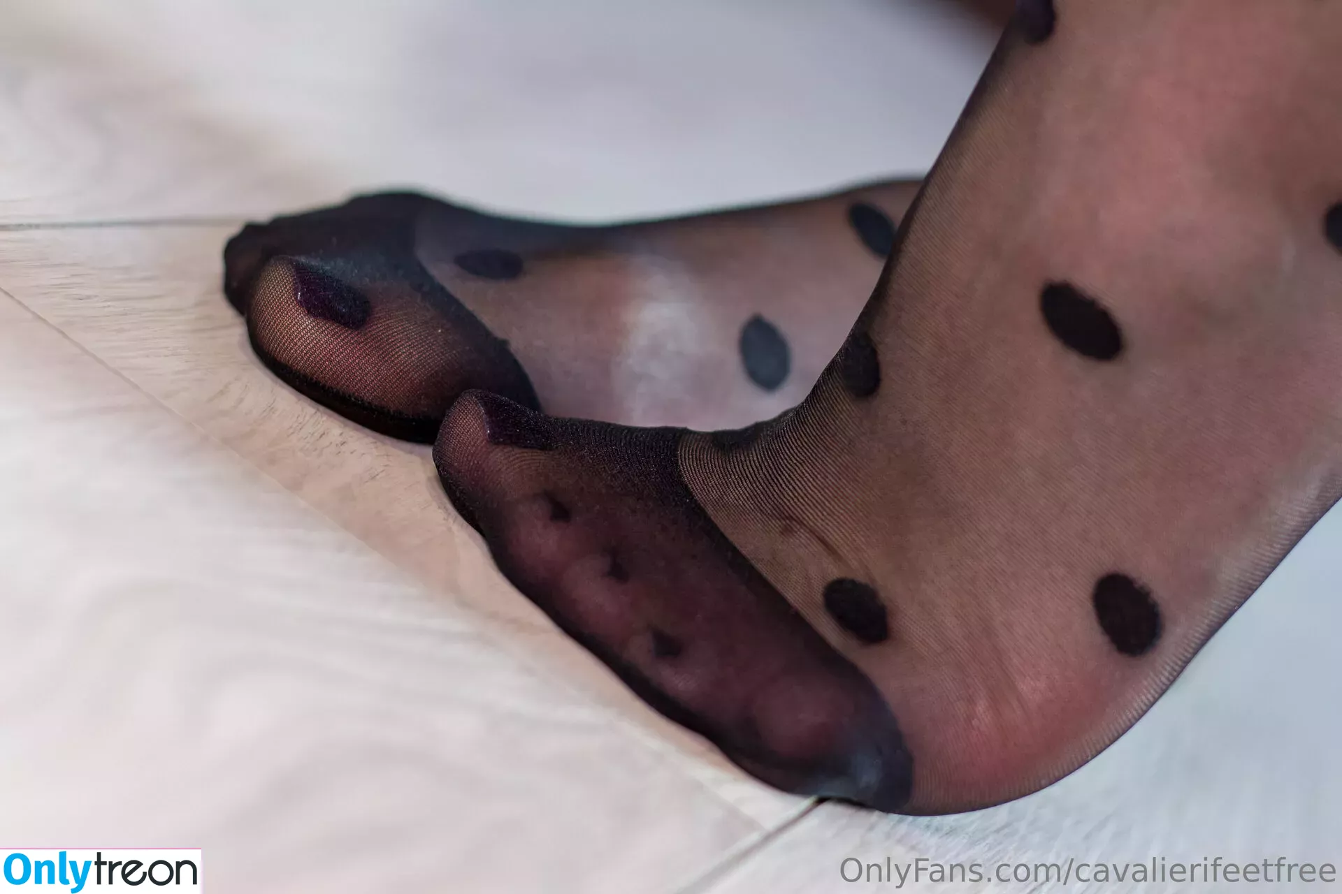 cavalierifeetfree голая photo #0014 (funwifelife)