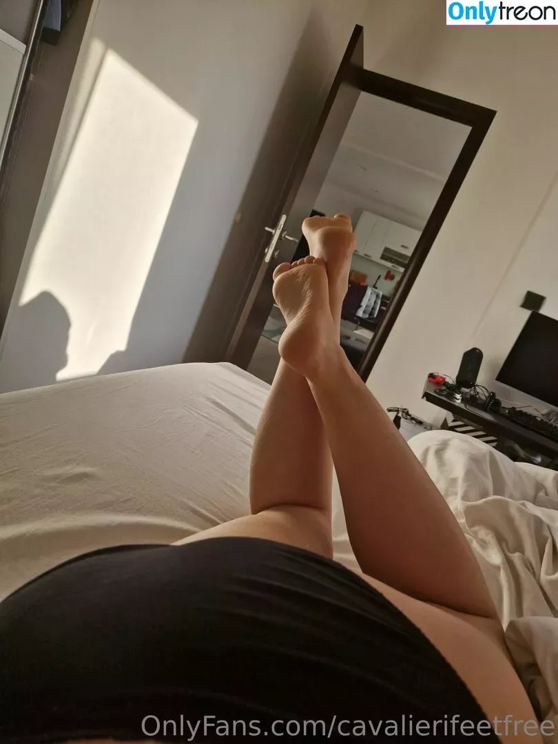 cavalierifeetfree nude photo #0029 (funwifelife)