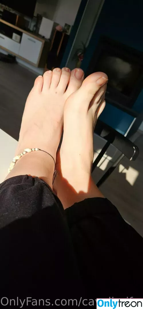 cavalierifeetfree голая photo #0038 (funwifelife)