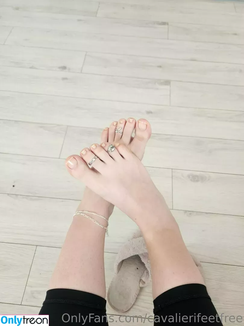cavalierifeetfree nude photo #0049 (funwifelife)