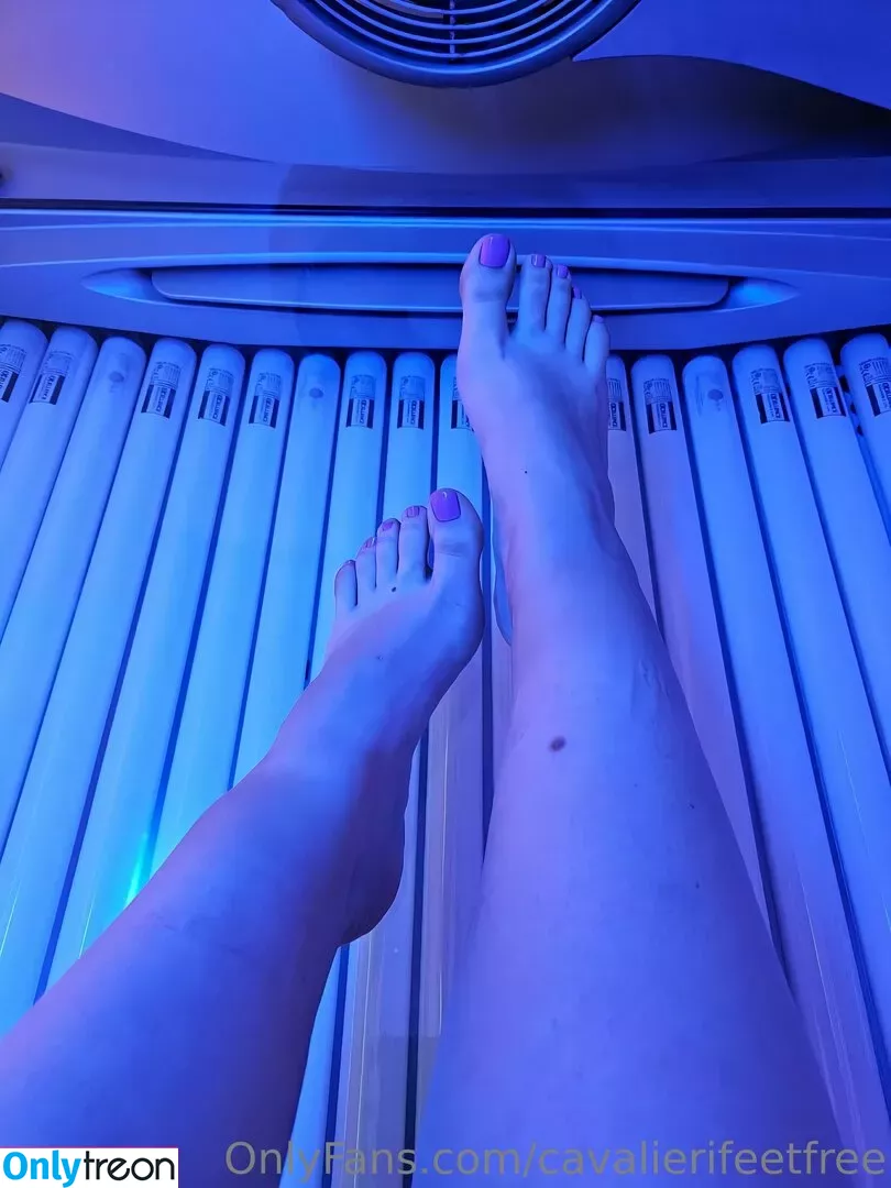 cavalierifeetfree голая photo #0064 (funwifelife)