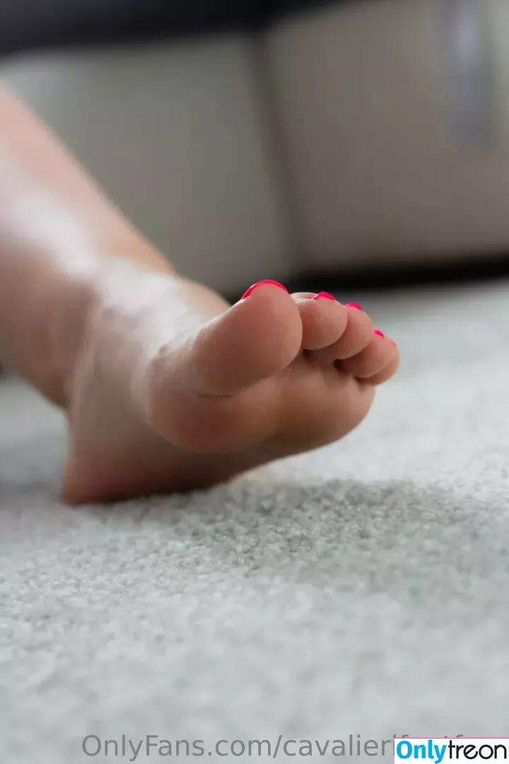 cavalierifeetfree nude photo #0073 (funwifelife)
