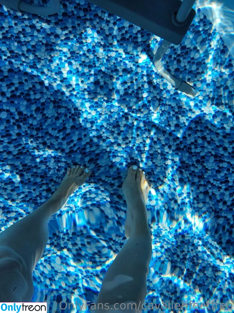 cavalierifeetfree nude photo #0094 (funwifelife)