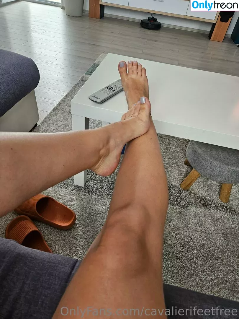 cavalierifeetfree nude photo #0150 (funwifelife)