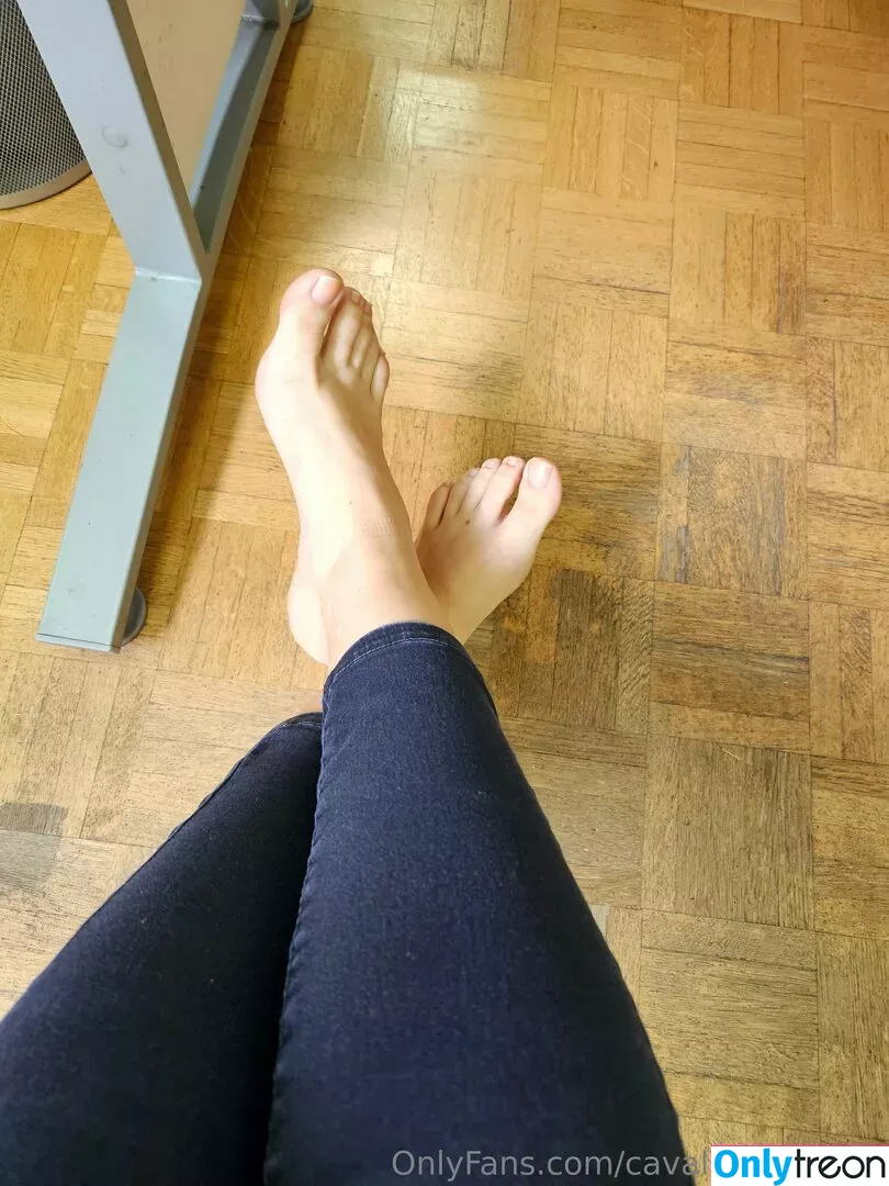 cavalierifeetfree nude photo #0162 (funwifelife)