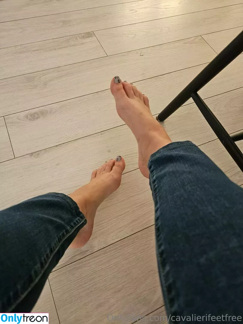 cavalierifeetfree nude photo #0168 (funwifelife)