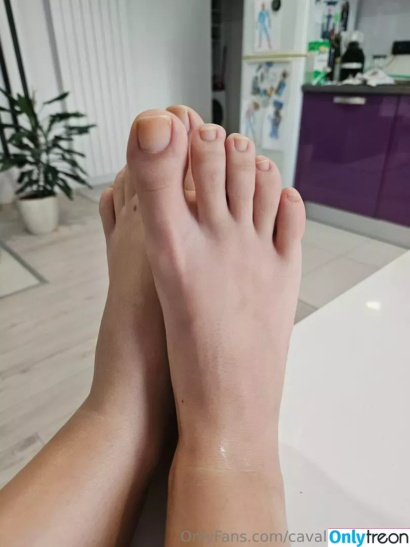 cavalierifeetfree nude photo #0170 (funwifelife)